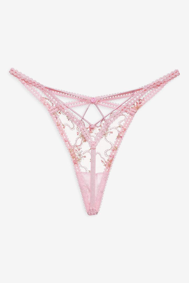 Dainty Daphne Thong Panty — Pink Product Image