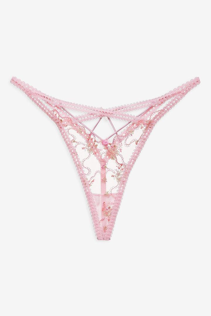 Dainty Daphne Thong Panty — Pink Product Image