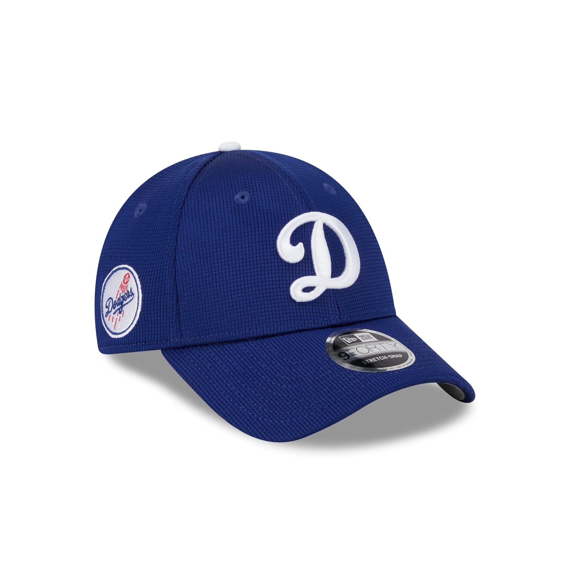 Los Angeles Dodgers 2025 Batting Practice Blue 9FORTY Stretch-Snap Hat Male Product Image