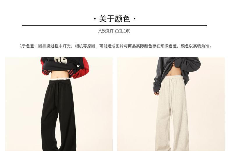 Drawstring Waist Plain Panel Straight Leg Sweatpants Product Image