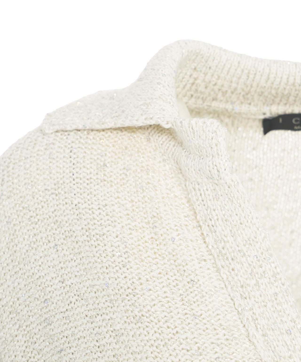 Knit polo with sequins Product Image