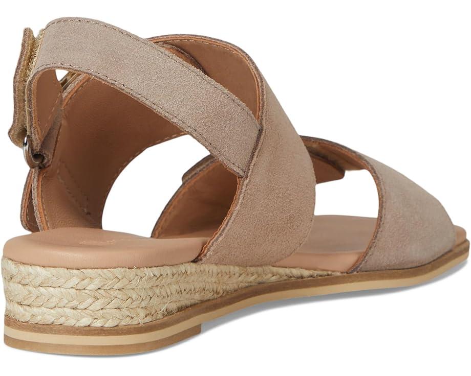 Timeless Life Product Image