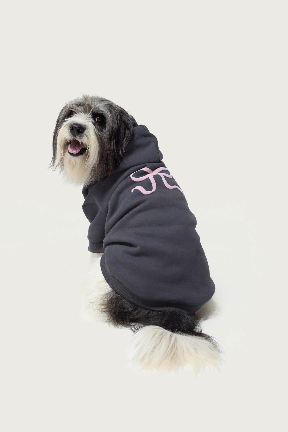 Bonney Bow Pet Hoodie Product Image