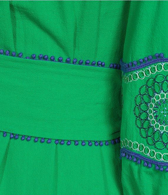 tyler boe Christy Embroidered Funnel Collar 3/4 Sleeve Drop Waist Button Front Dress Product Image