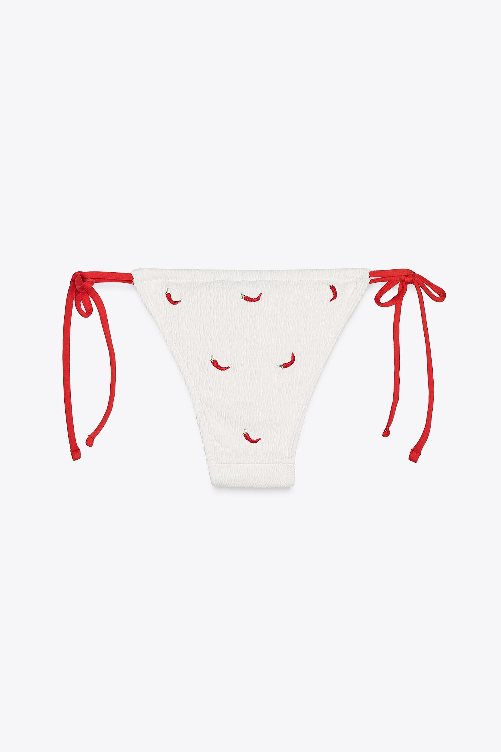 EMBROIDERED BIKINI BOTTOMS Product Image