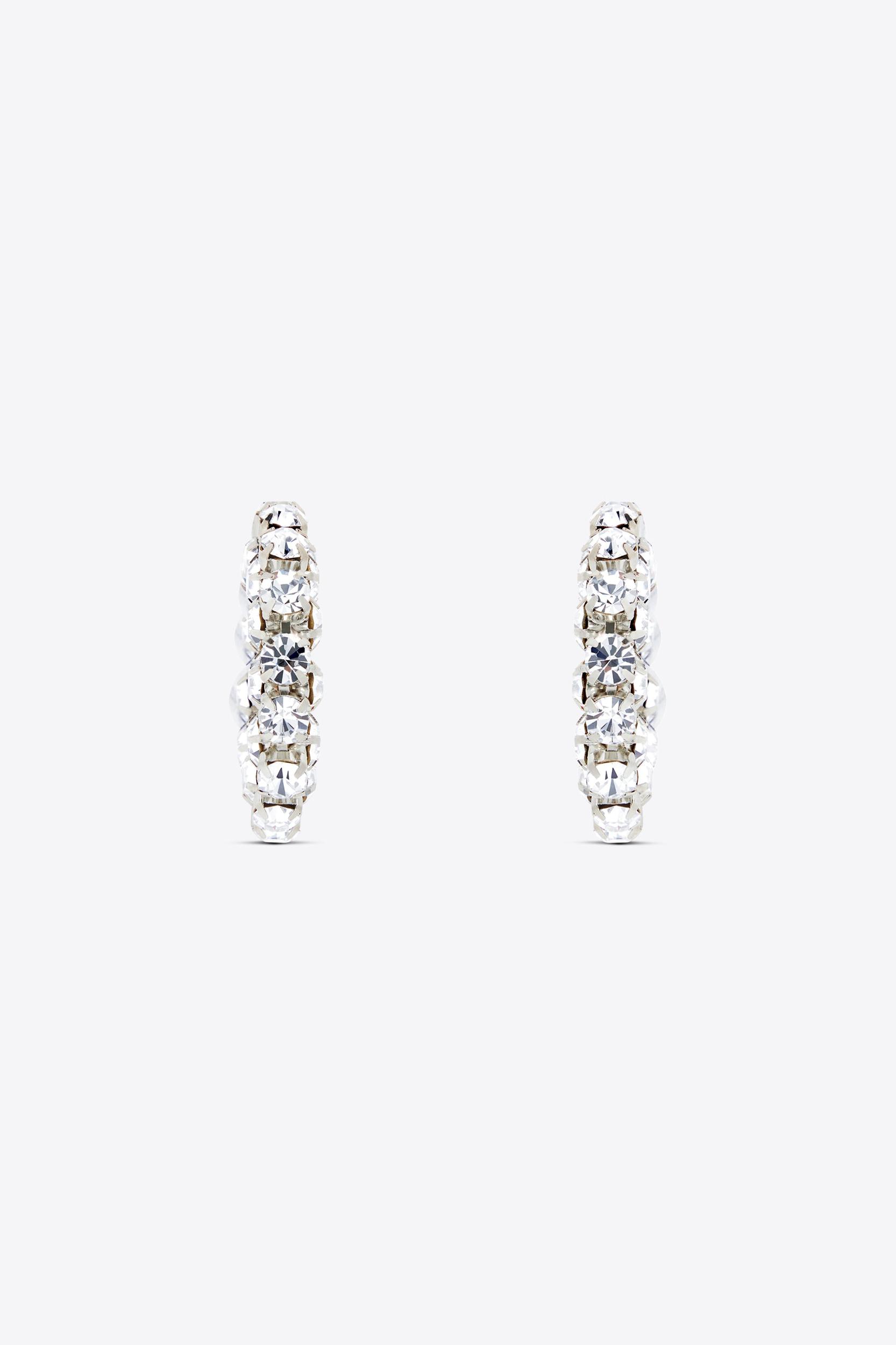 Small Crystal Hoop Earrings Product Image