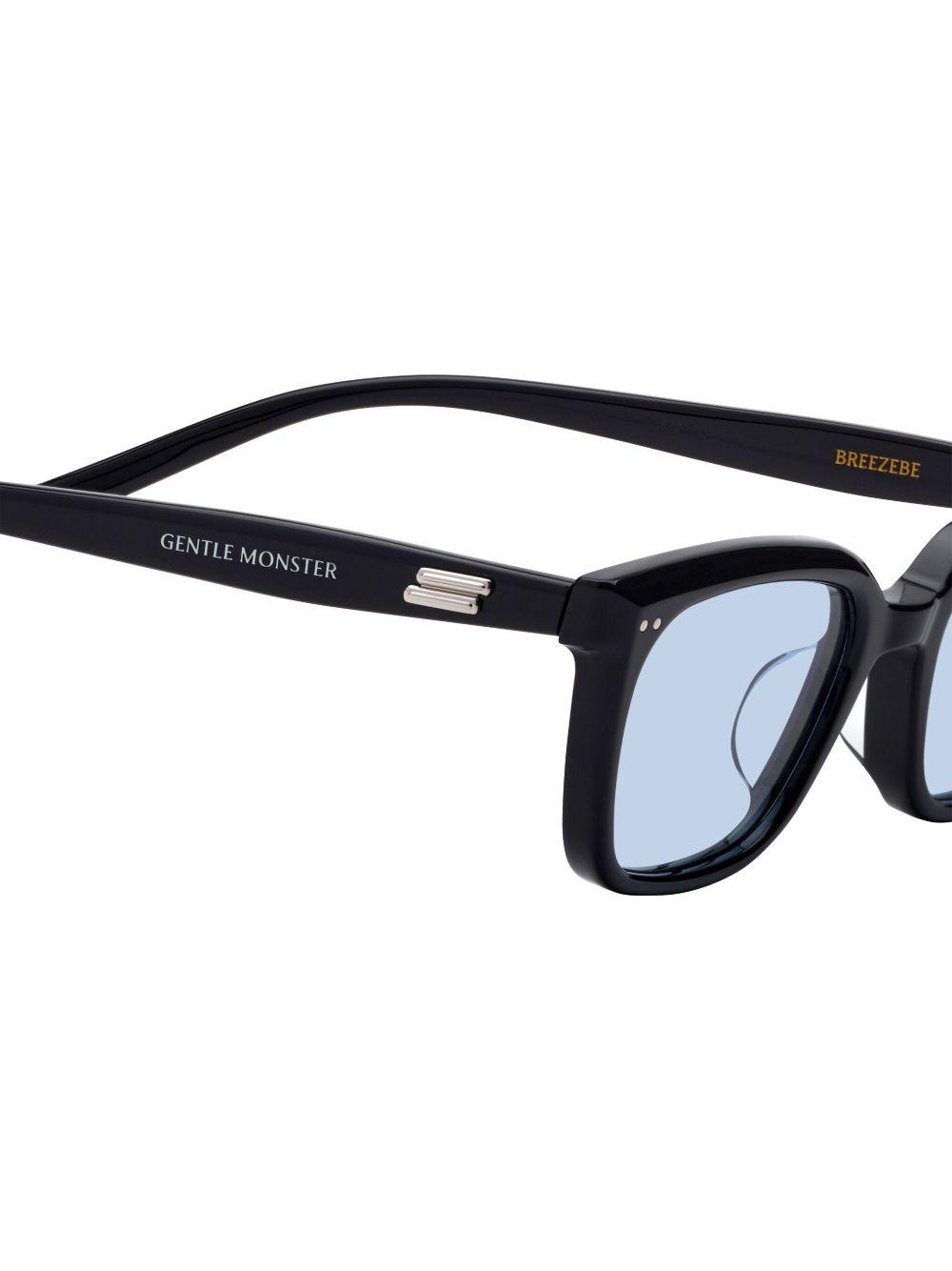 Breezebe sunglasses  Product Image