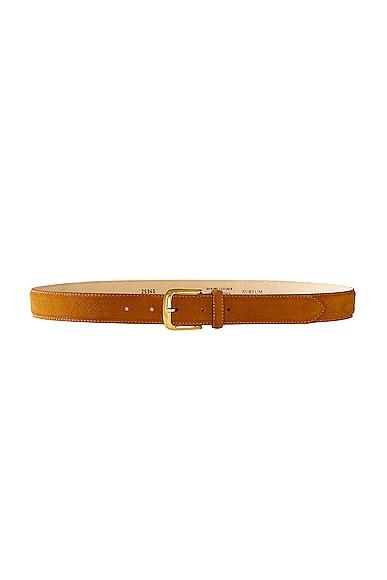 Camel Suede Belt Product Image