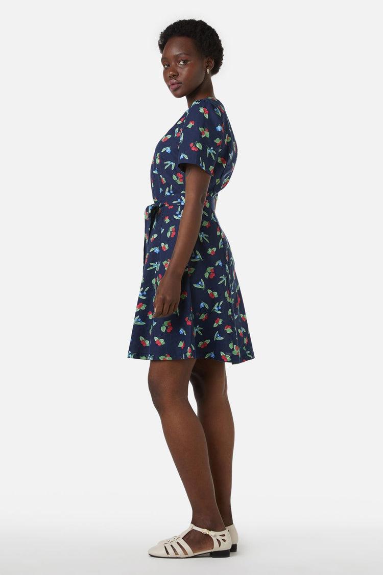 Berry Dress Product Image