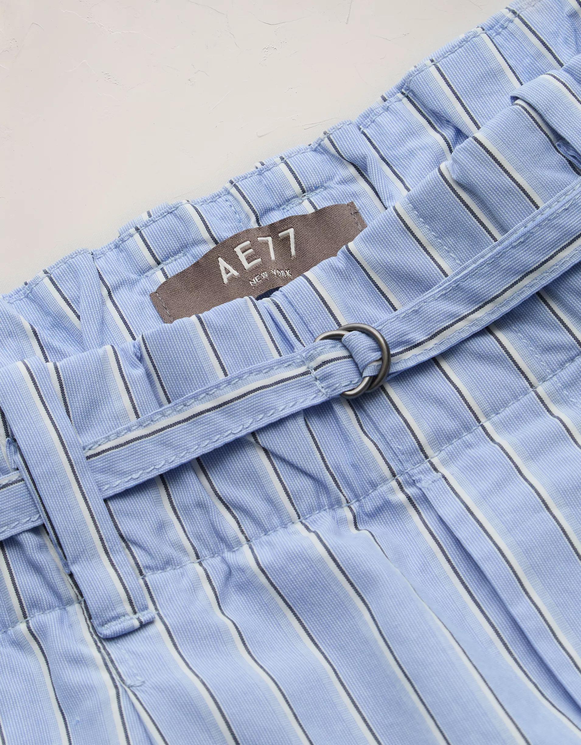AE77 Premium Striped Wide Trouser Product Image