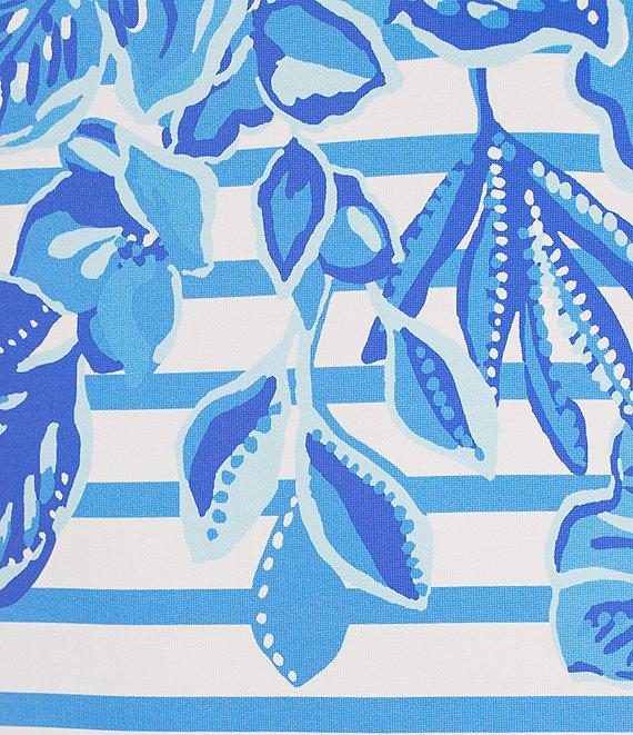 Lilly Pulitzer x Saint James Propriano Soleil Stripe Floral Print Boat Neck 3/4 Sleeve Dress Product Image