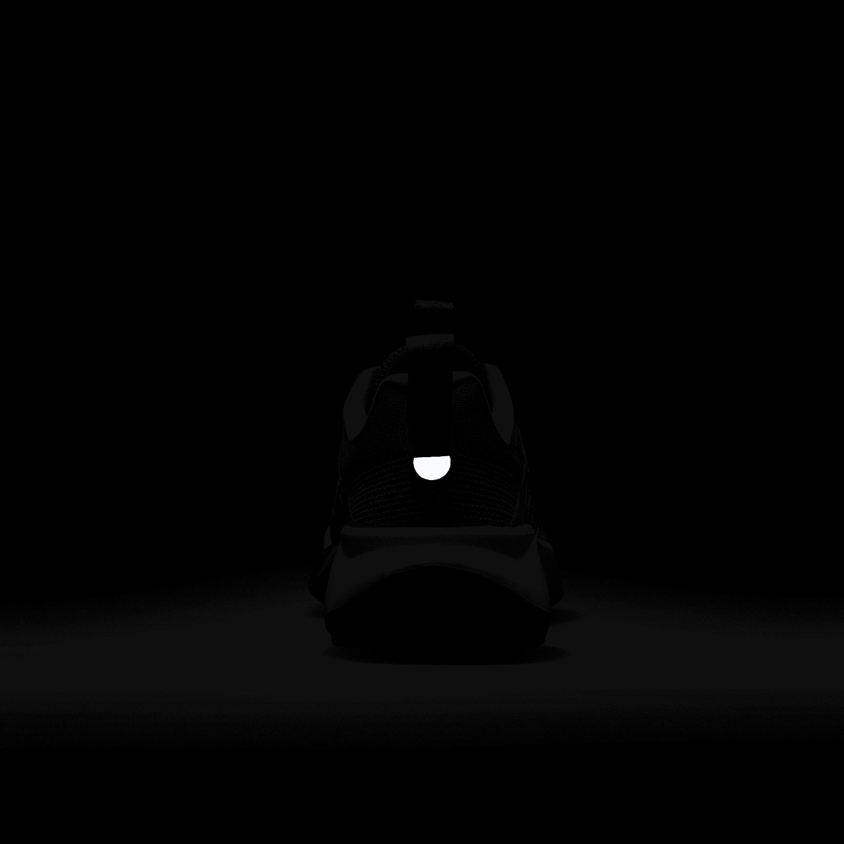 Nike Womens Wildhorse 10 Trail Running Shoes | FV2337-600 Product Image