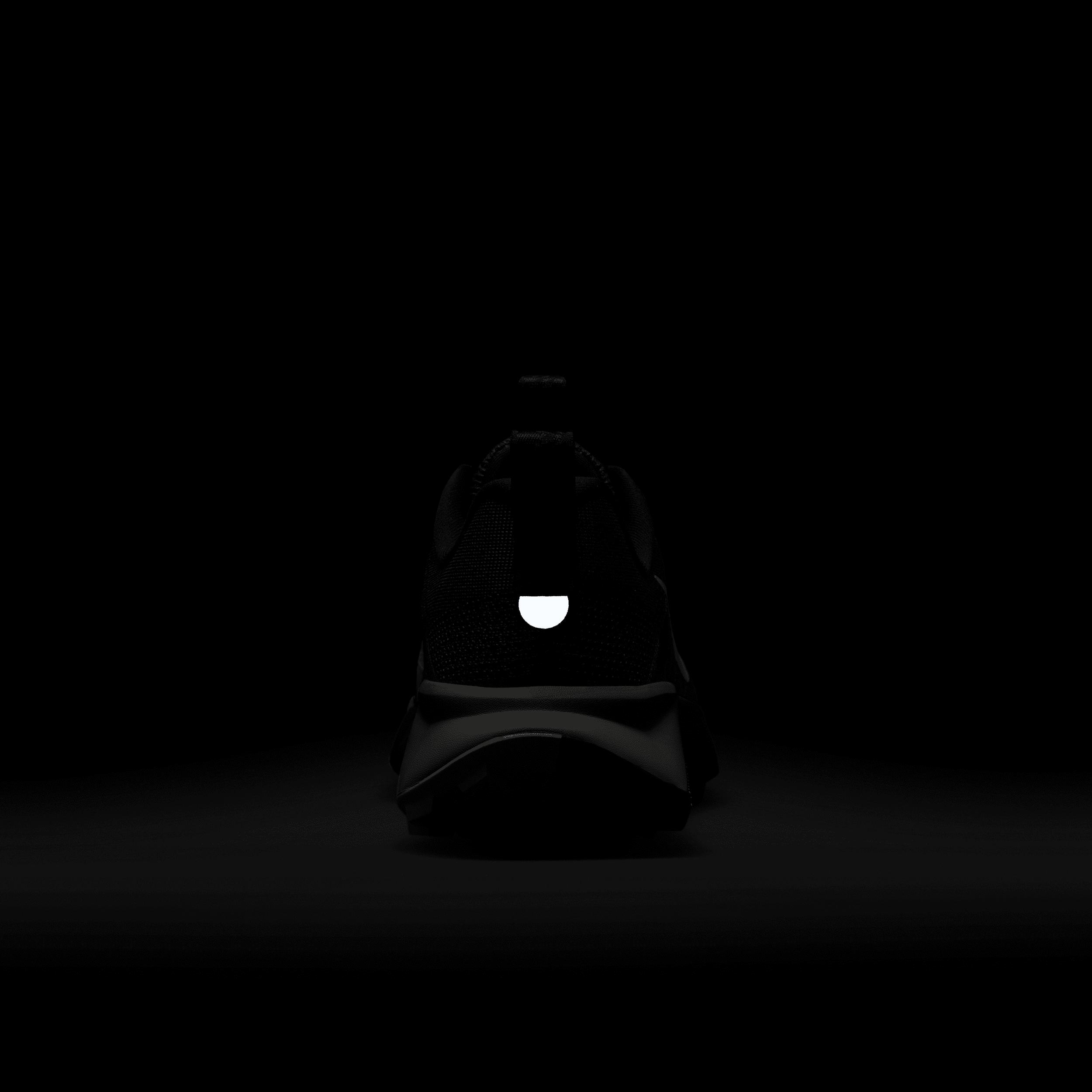 Nike Womens Wildhorse 10 Trail Running Shoes | FV2337-003 Product Image