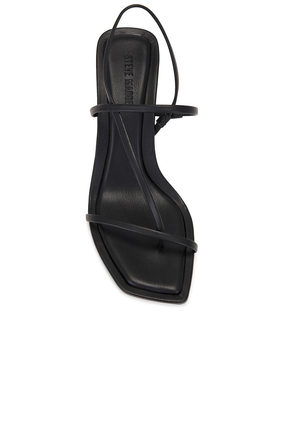 Locke Heel Steve Madden Product Image