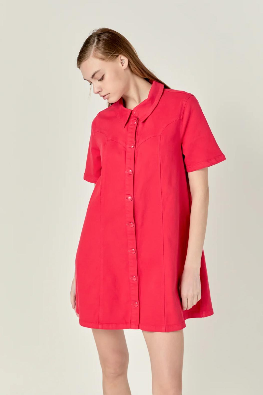 SS Denim Mini Dress Product Image