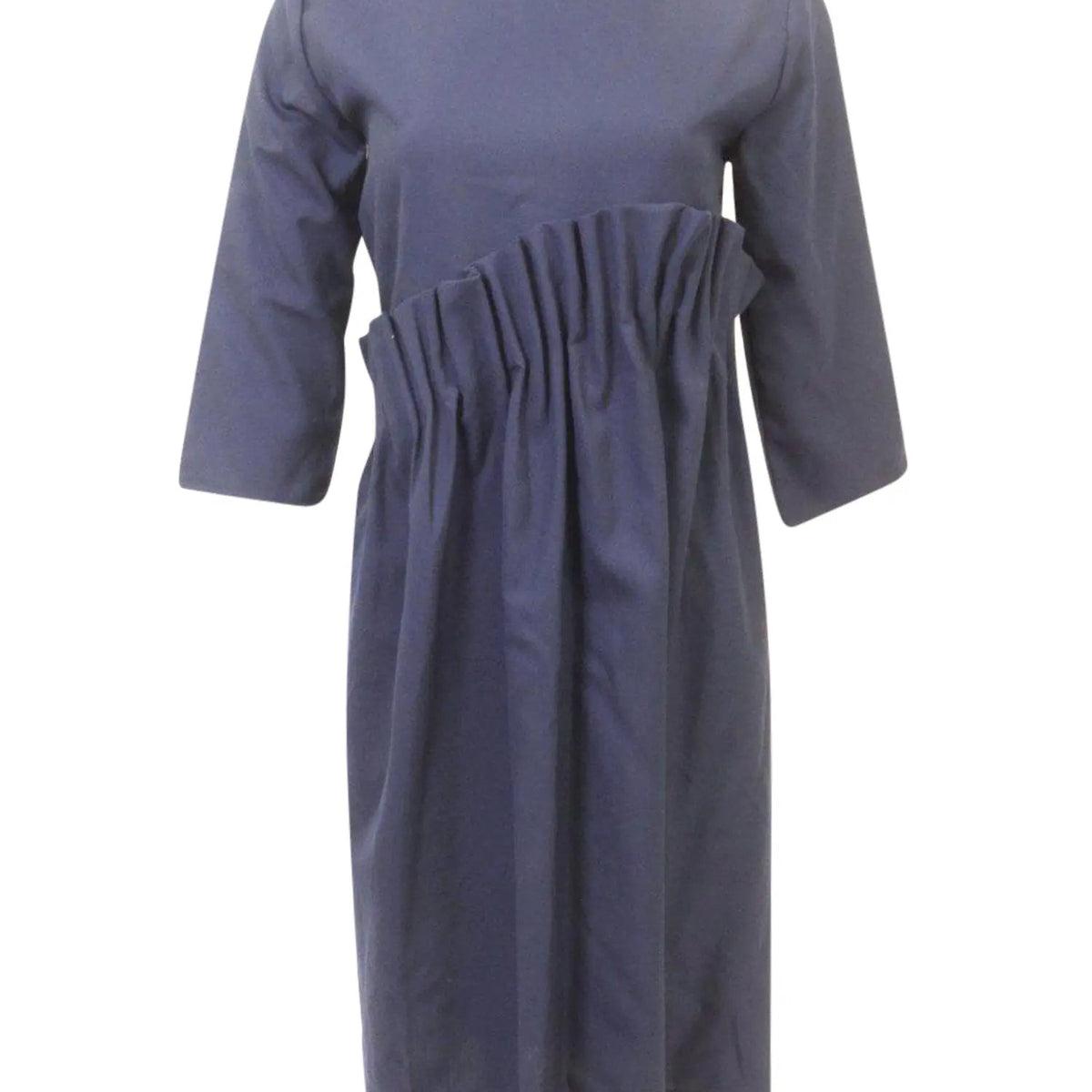 Fraze Gathered Pleats Dress Product Image
