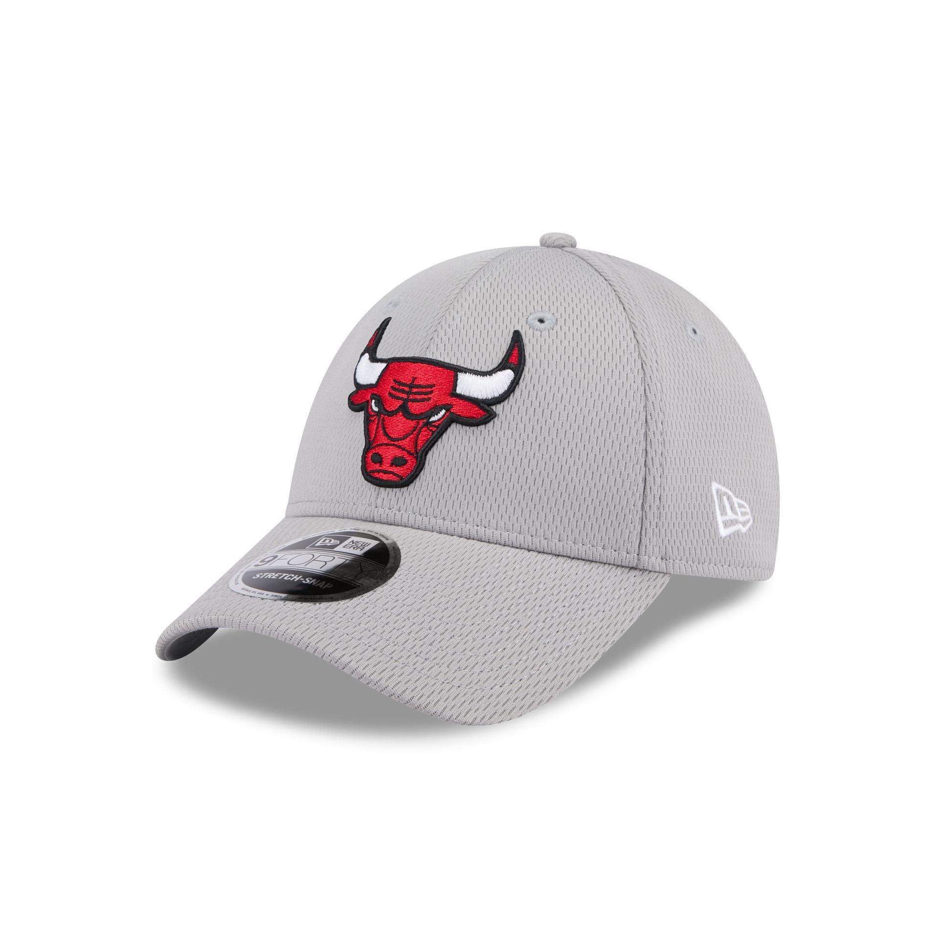 Golden State Warriors Gray 9FORTY Stretch-Snap Hat Male Product Image