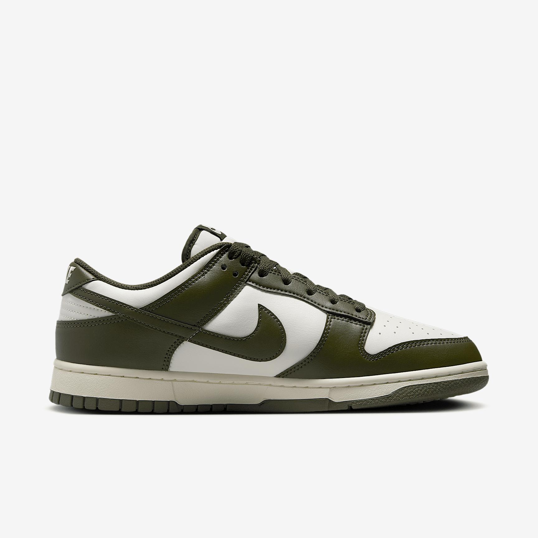 Nike Mens Dunk Low Retro Shoes | HF5441-105 Product Image