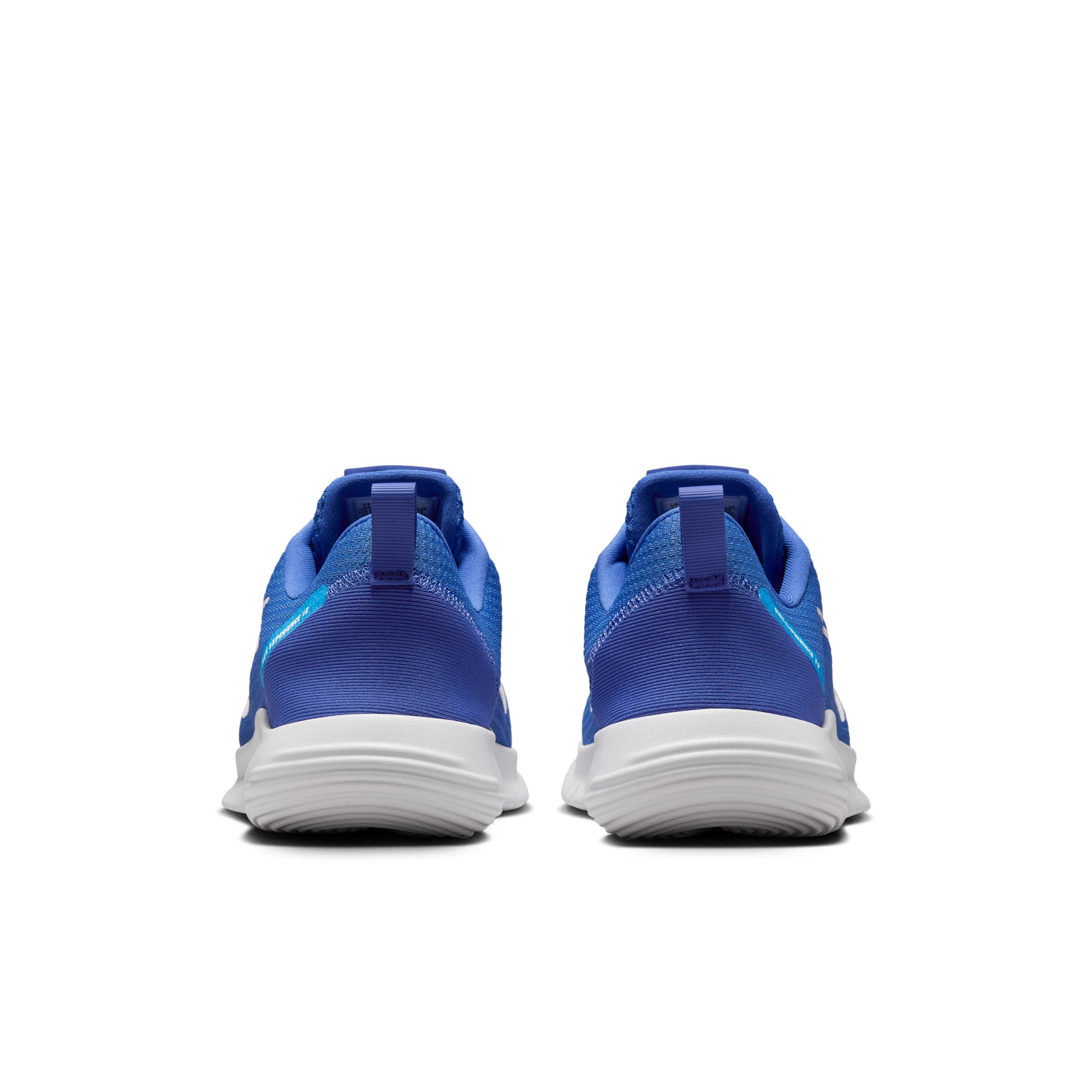 Nike Mens Flex Experience Run 12 Road Running Shoes | DV0740-403 Product Image