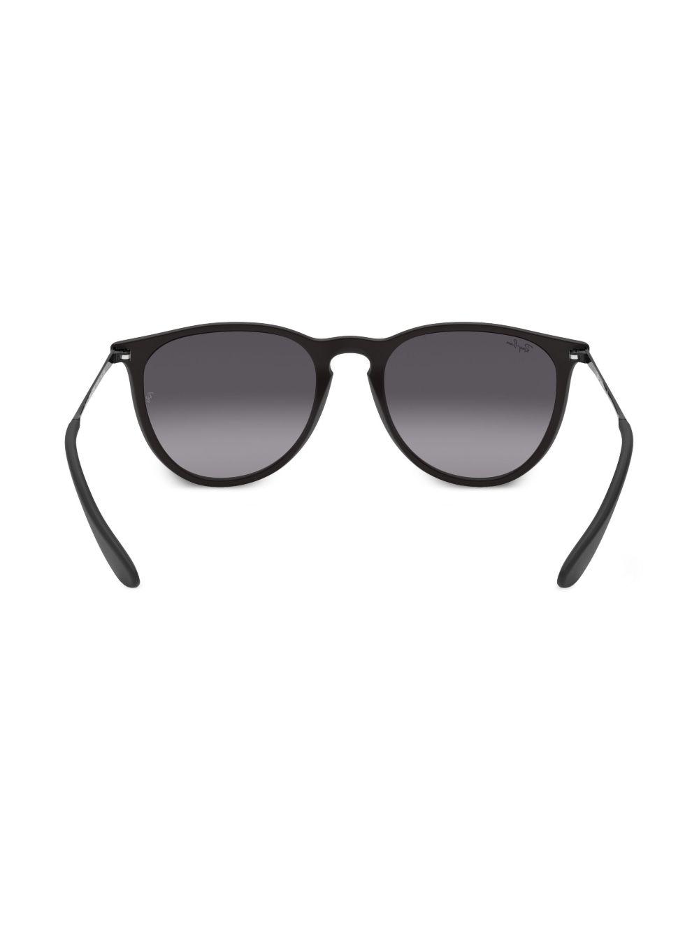 Erika Classic sunglasses Product Image