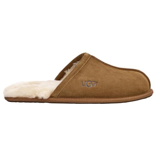 UGG Mens UGG Scuff Logo - Mens Shoes Chestnut Product Image