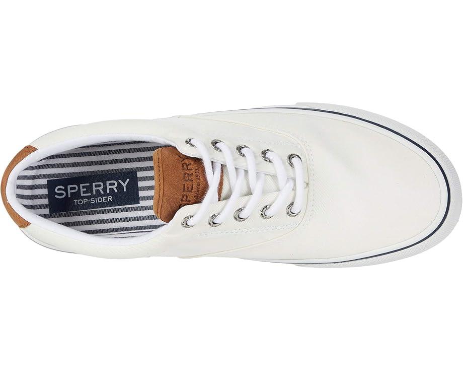 CVO Canvas Product Image