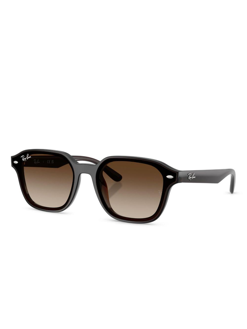 RB4458D sunglasses  Product Image
