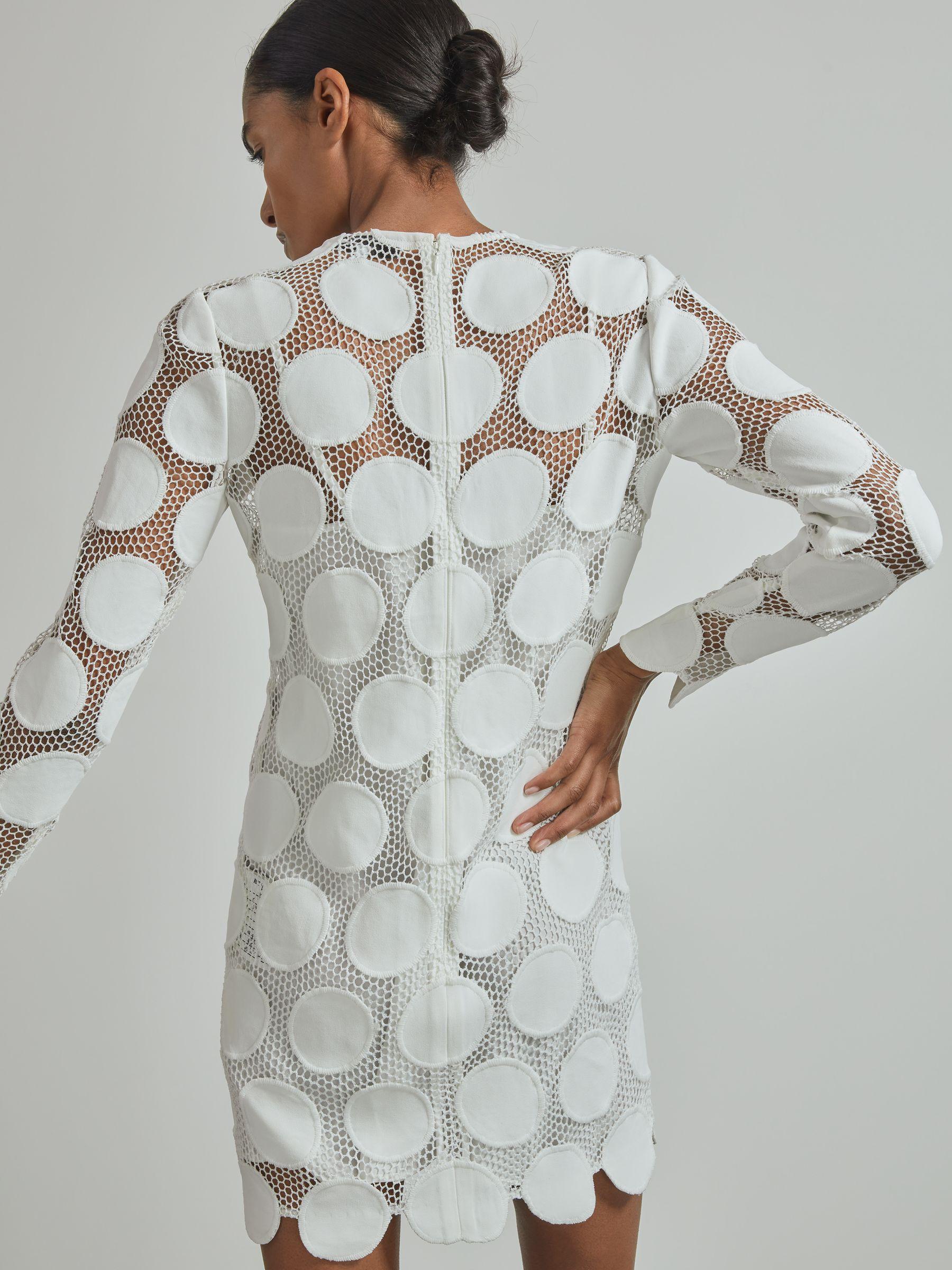 Atelier Sheer Embroidered Mini Dress in Ivory Product Image