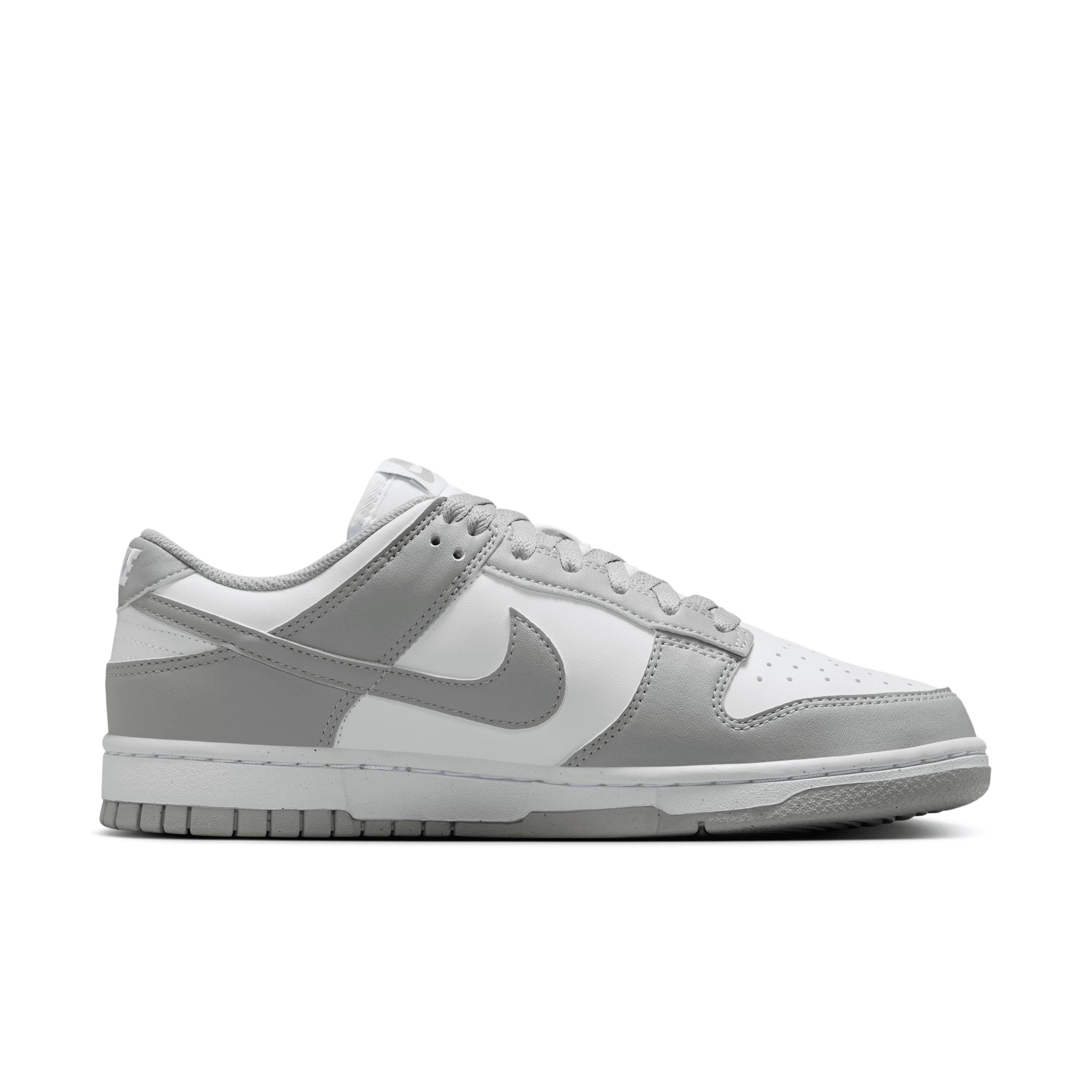 Nike Womens Dunk Low Next Nature Shoes | DD1873-113 Product Image