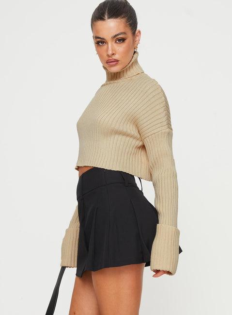 Kinzlee Mini Skirt Black Product Image