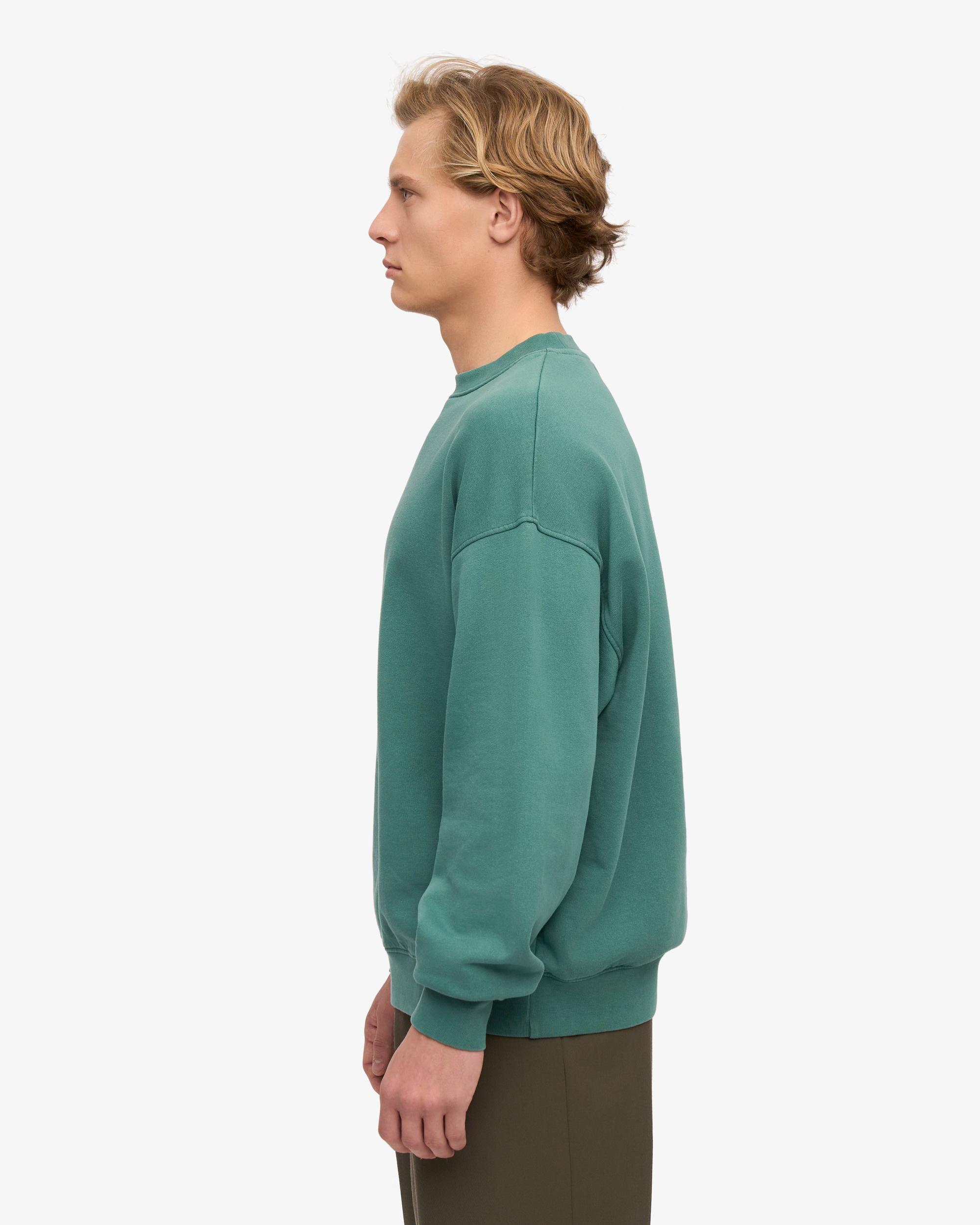 Organic Oversized Crew - Sahara Camel Product Image