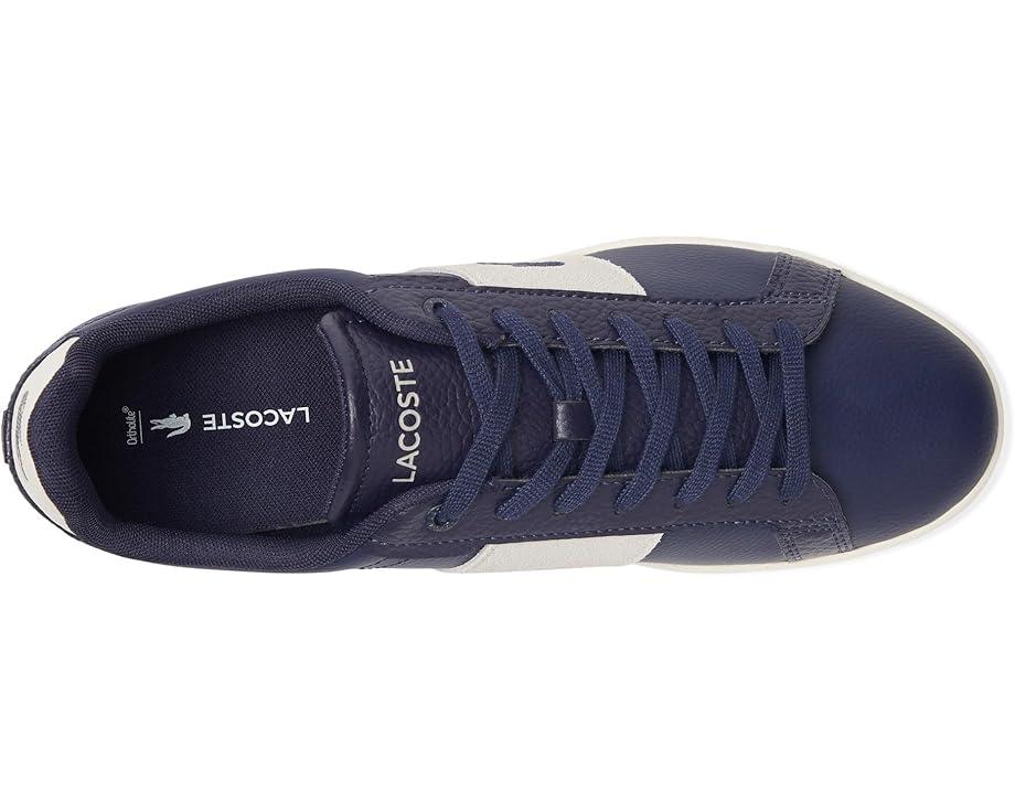 Baseshot Sneakers Product Image