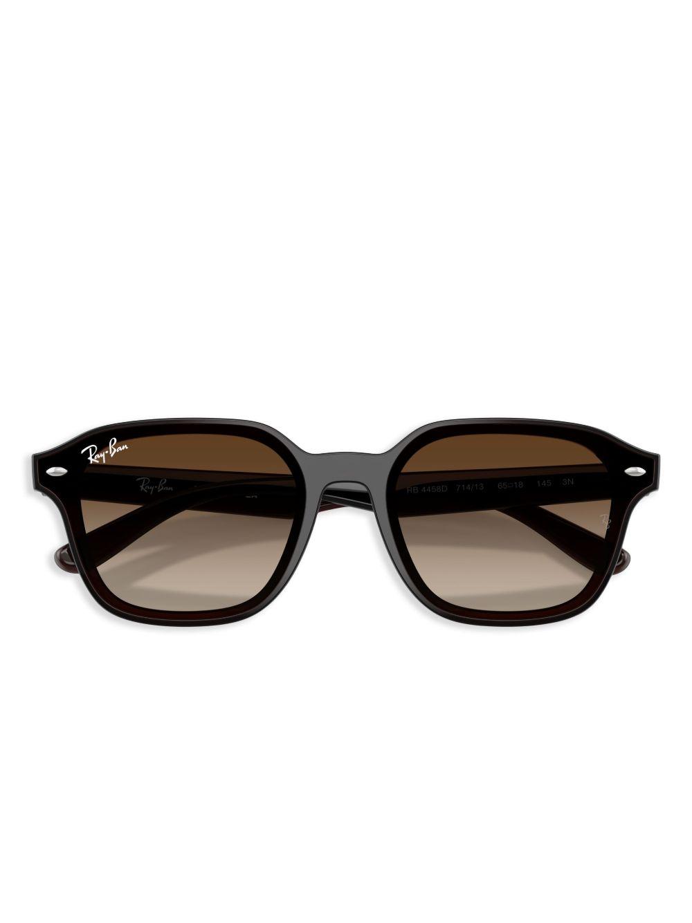 RB4458D sunglasses  Product Image