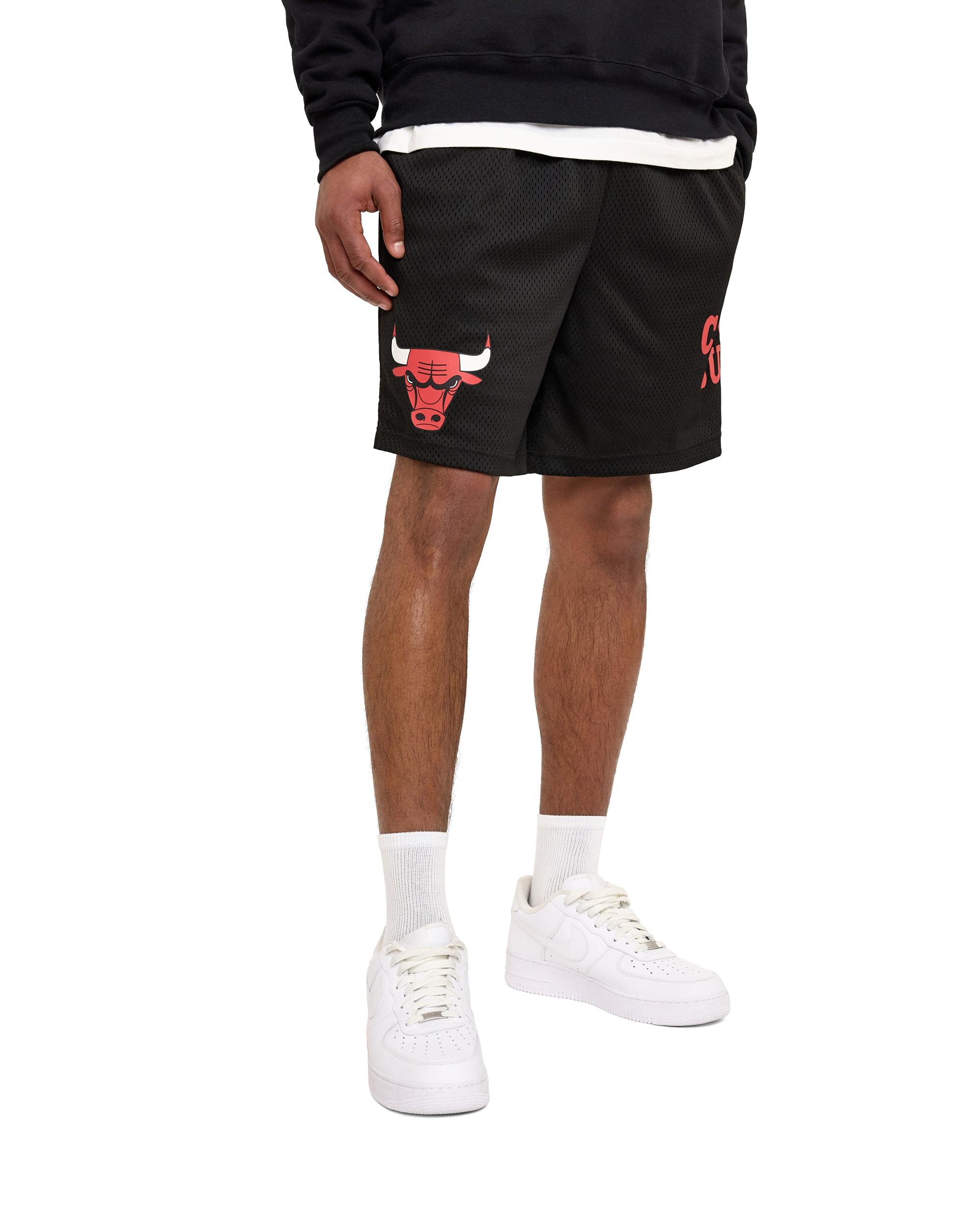 Golden State Warriors Mesh Shorts Male Product Image