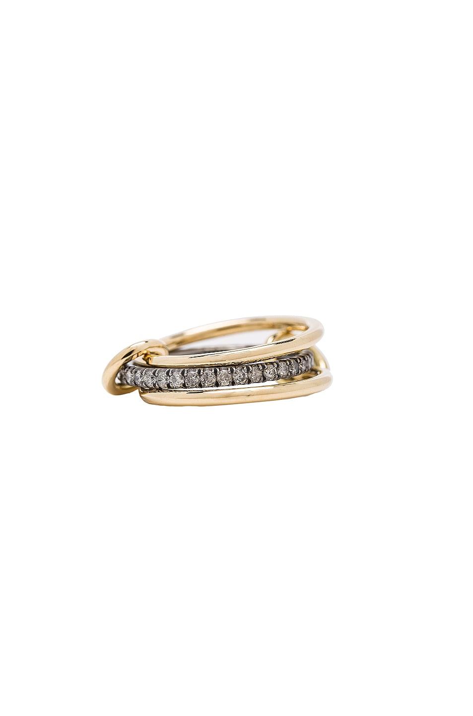 Tigris Ring Product Image