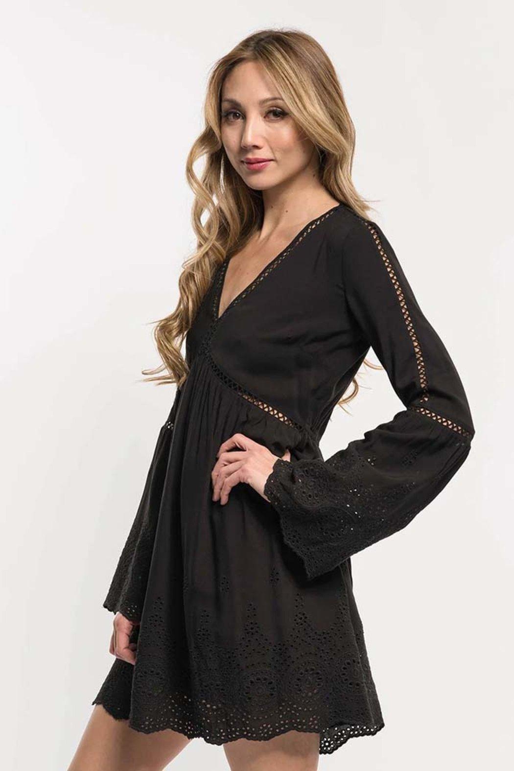 Embroidered Eyelet Plunge Dress Product Image