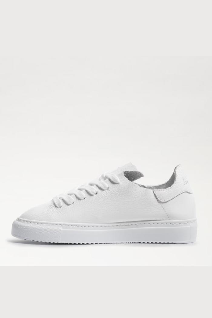Poppy Lace Up Sneaker- White Product Image