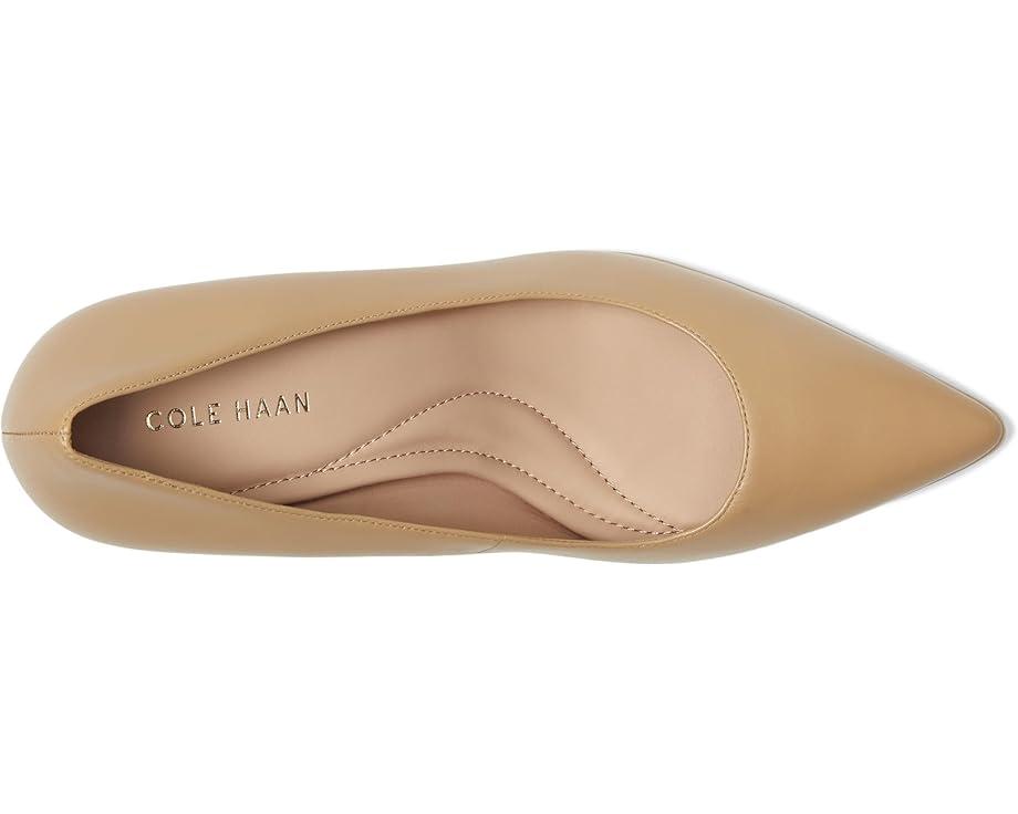 Vivica Pointed Toe Pumps Product Image