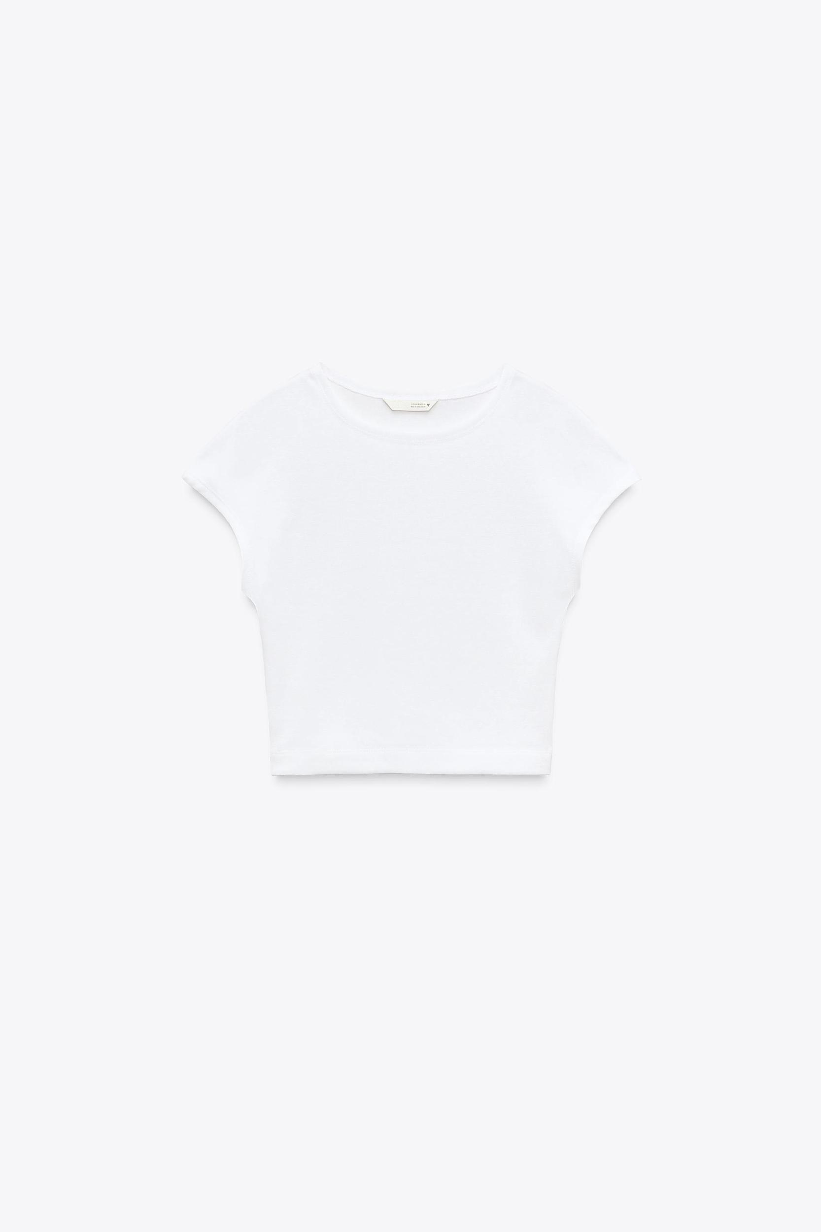 COTTON MODAL CROP T-SHIRT Product Image