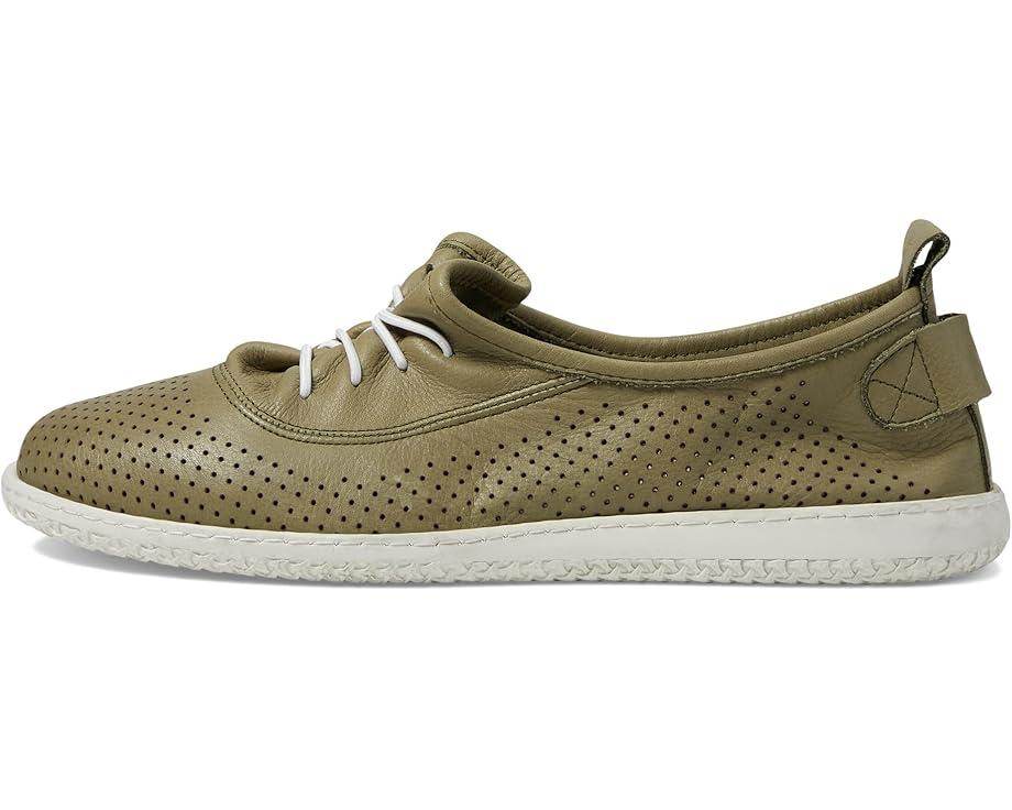 Picasa Product Image