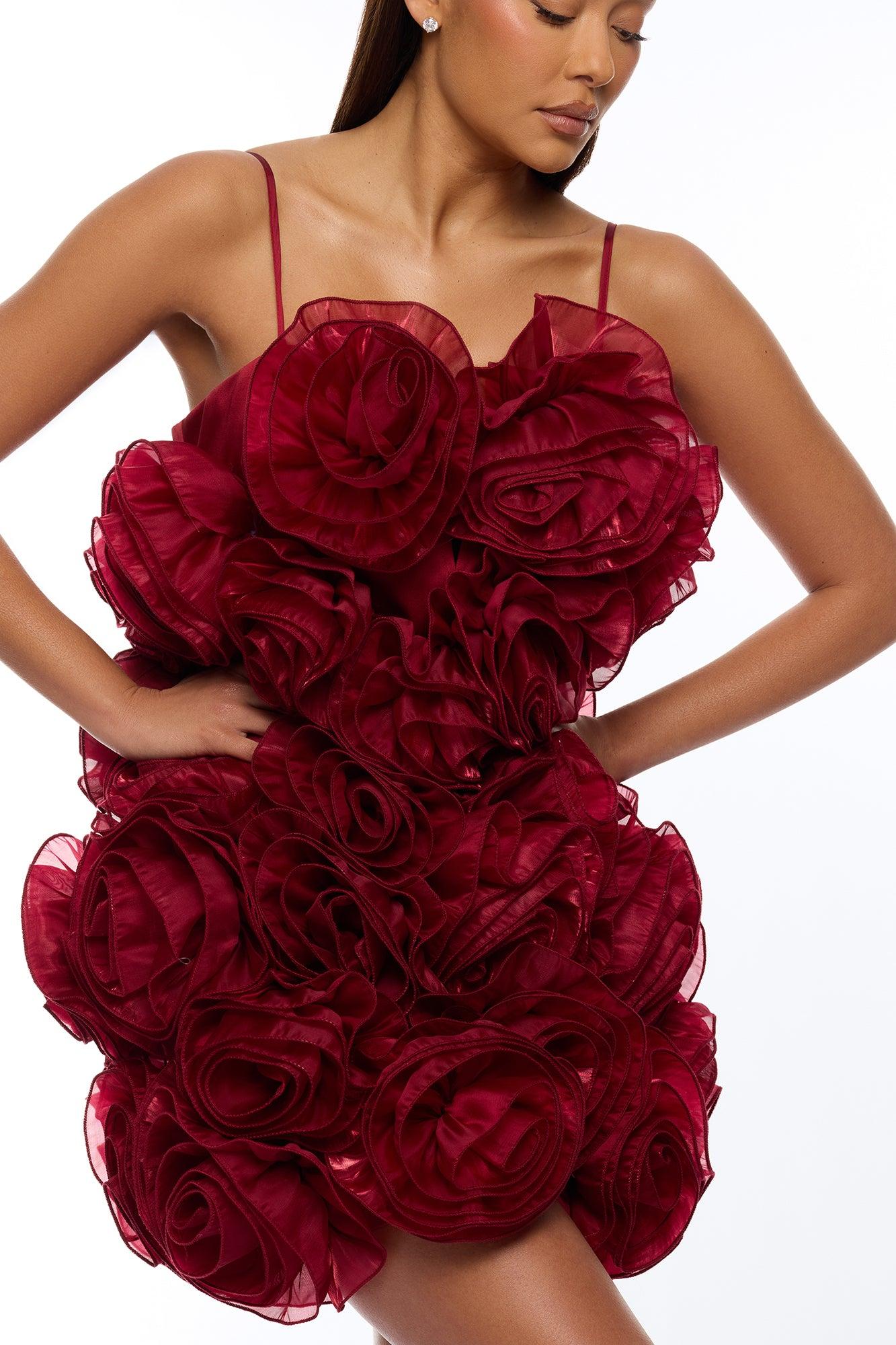 Wild Roses Floral Applique Mini Dress - Wine Female Product Image