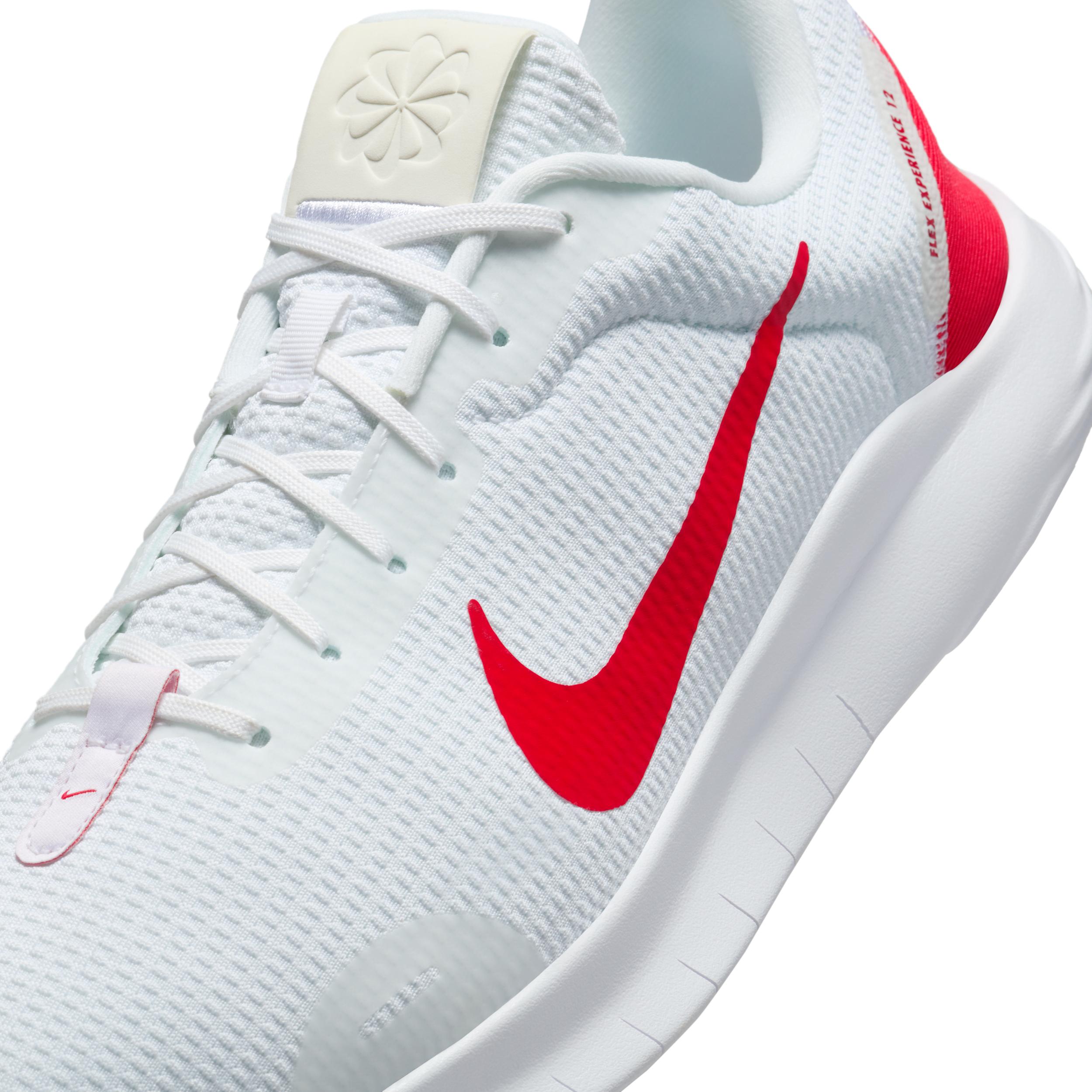 Nike Mens Flex Experience Run 12 Road Running Shoes | DV0740-102 Product Image