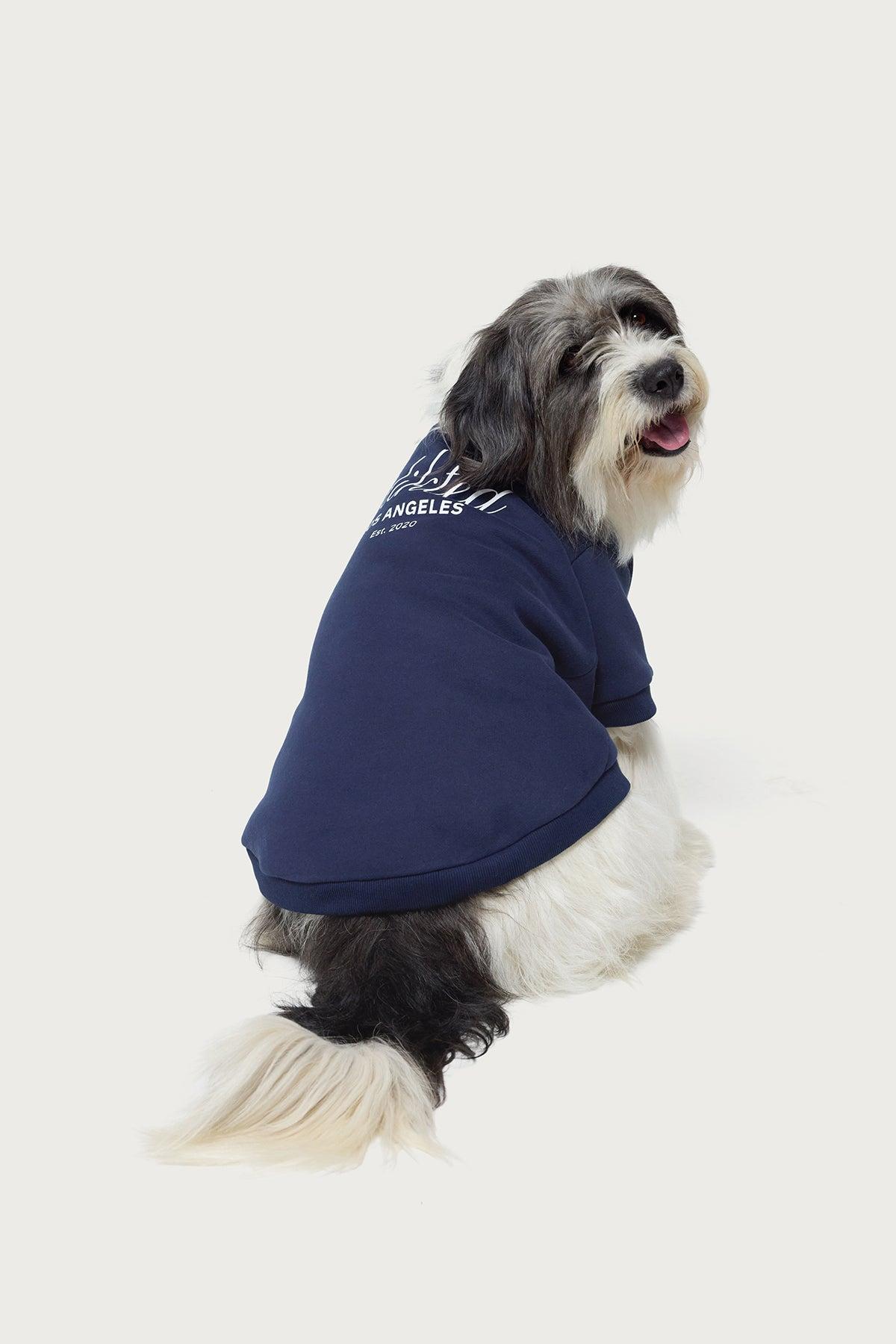 Get Edikted Pet Sweatshirt Product Image