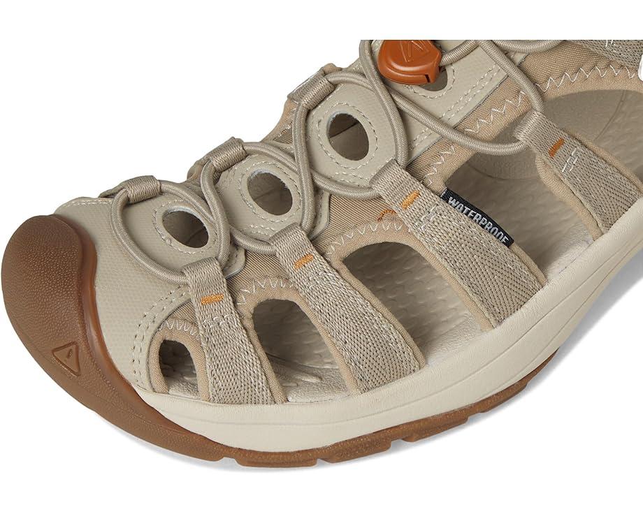 Newport H2 Product Image