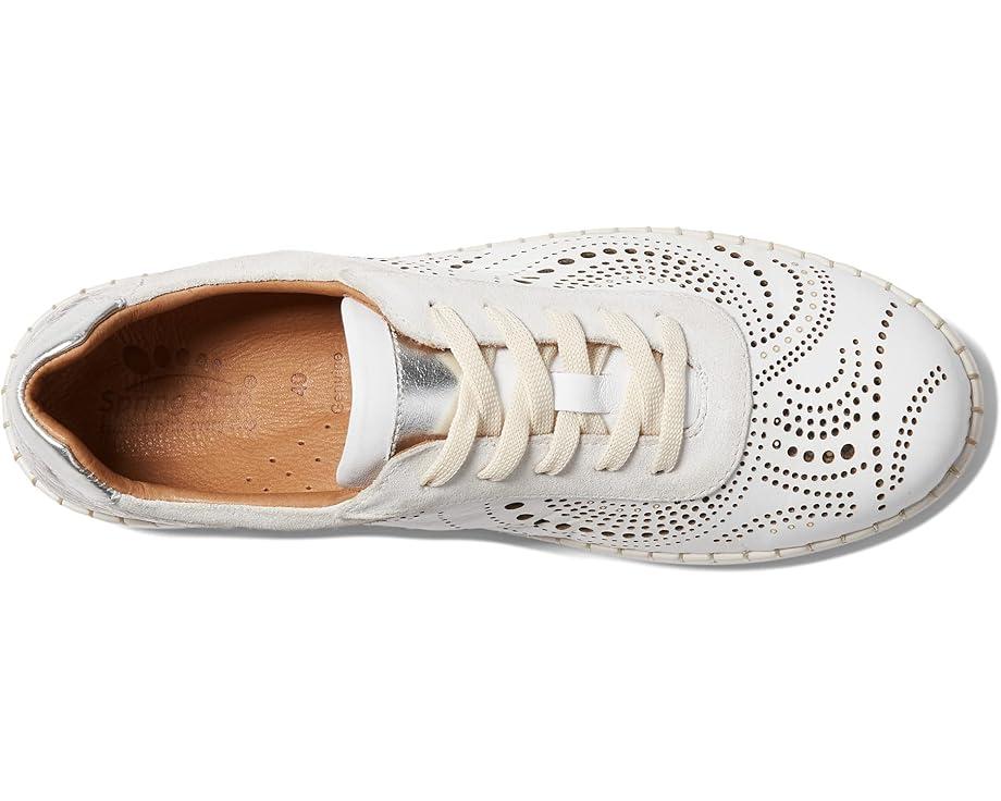 Picasa Product Image