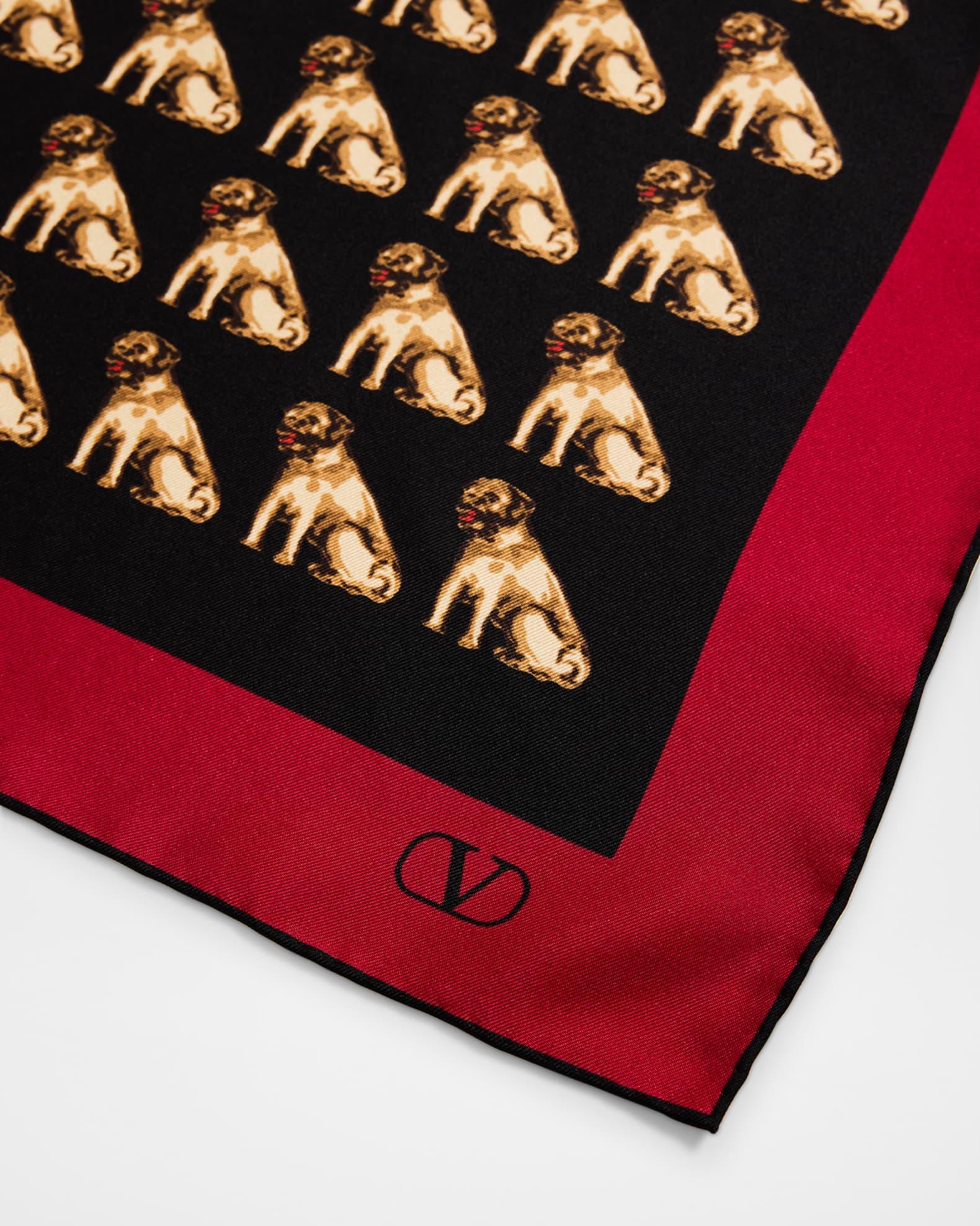 Petit Charles Silk Scarf Product Image