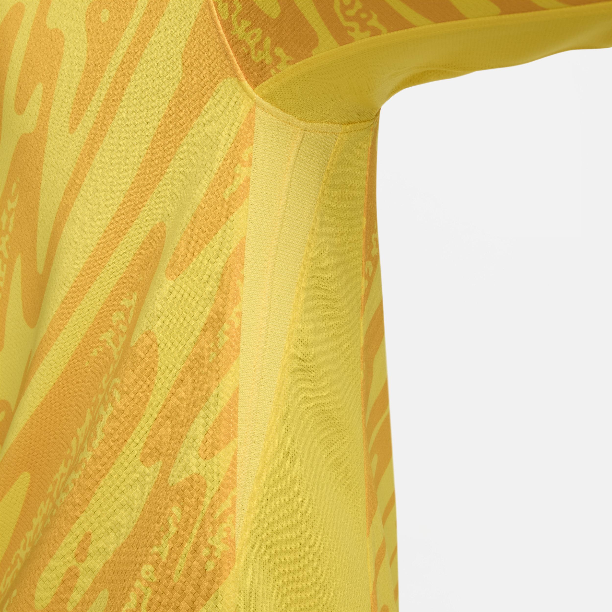 FFF (Team) 2024/25 Stadium Goalkeeper Nike Men's Dri-FIT Soccer Replica Jersey Product Image