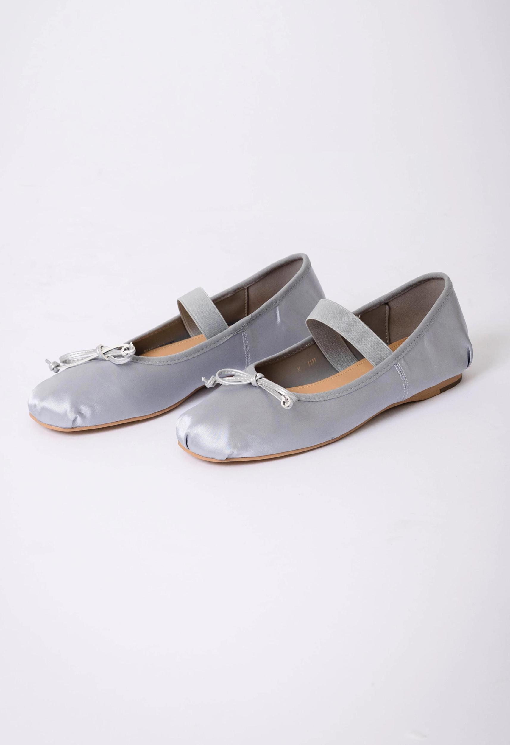 Ballet Flats In Silver Product Image