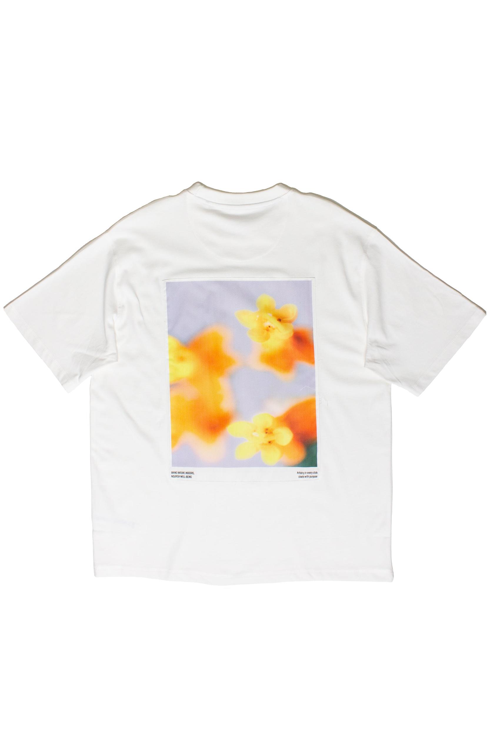 Artistry In Every Click Graphic T-Shirt Product Image