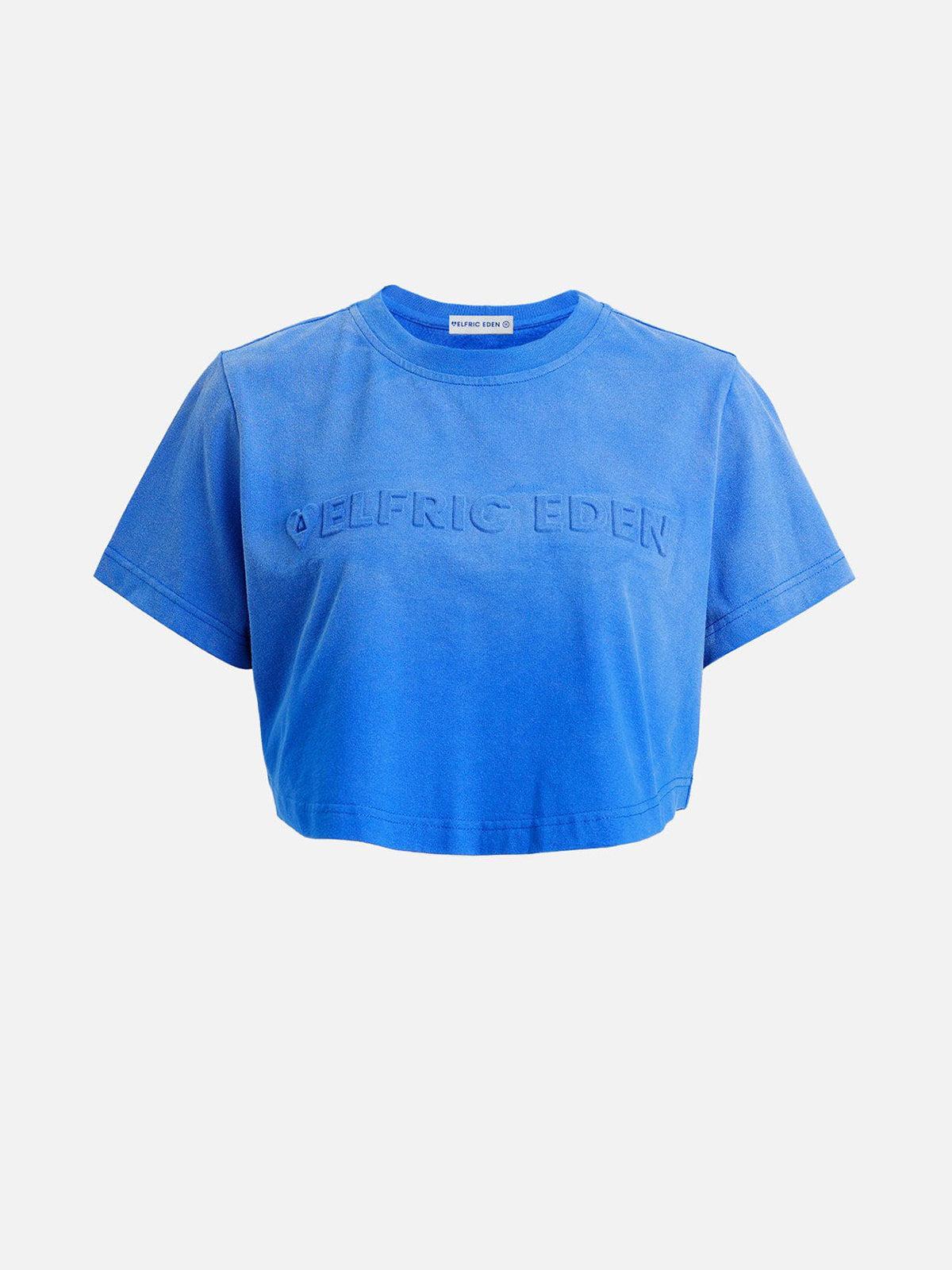 Aelfric Eden Gradient Emboss Washed Tee Female Product Image